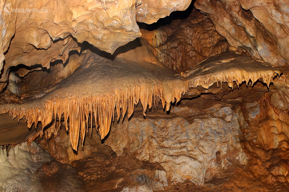 "Baldachýn" v Bystrianskej jaskyni (Michal Žec)