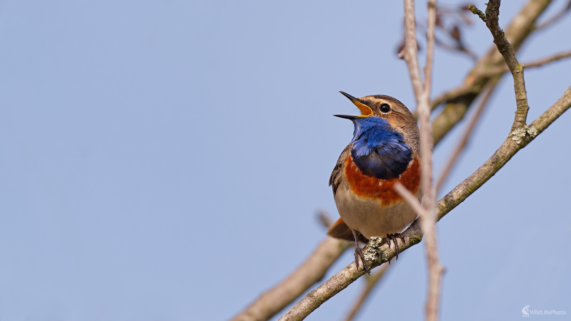 ... spevák, ktorý sa schovával. (Bohuš Číčel)