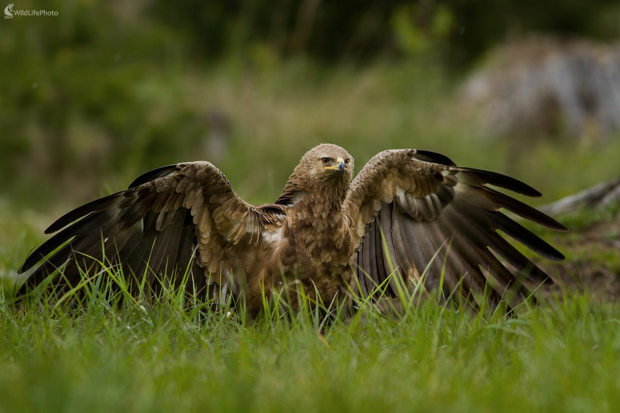 Takto vyzerám väčší (Ladislav Dzivjak)
