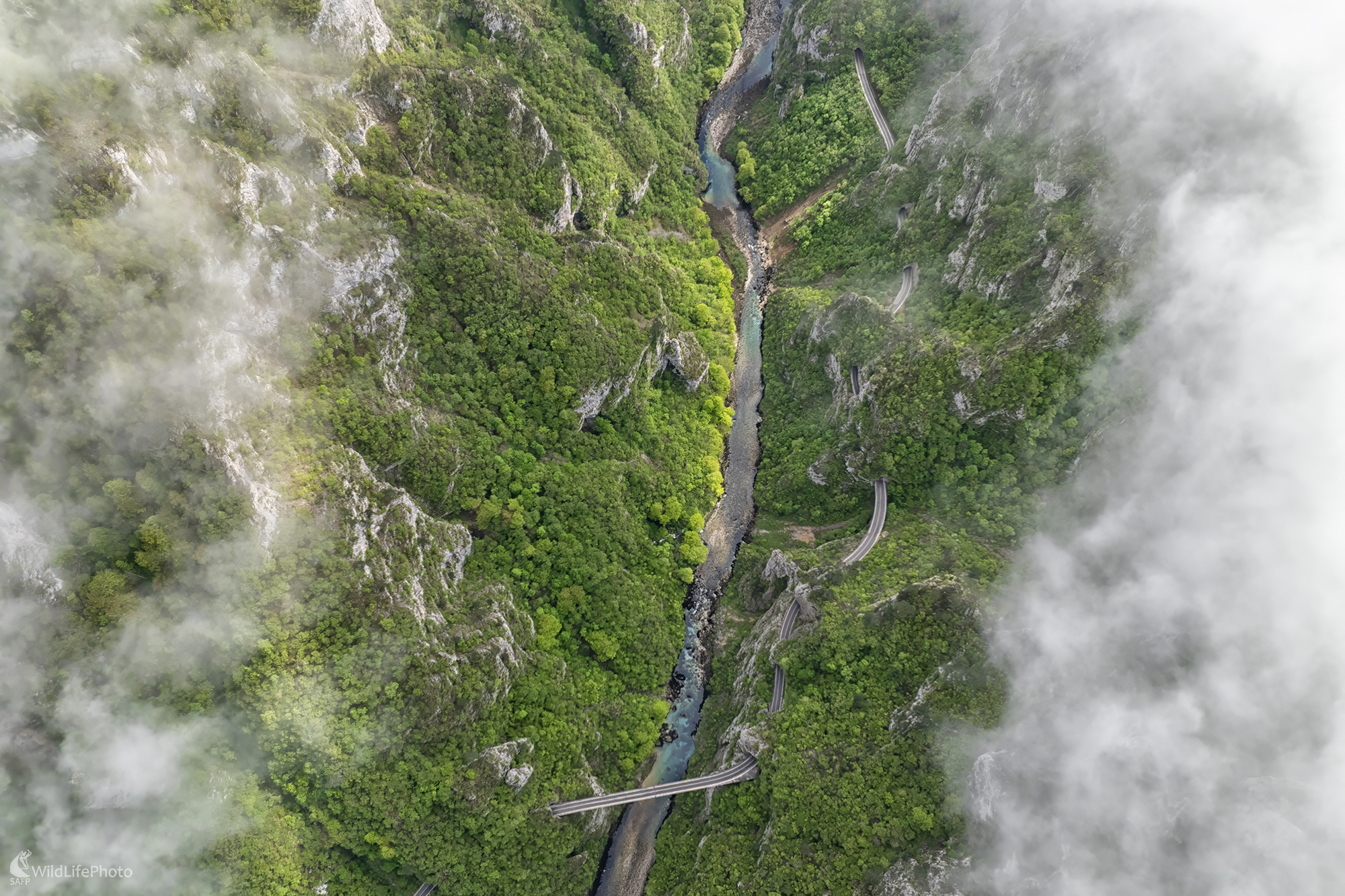 Údolie rieky Piva (Michal Lučanský)