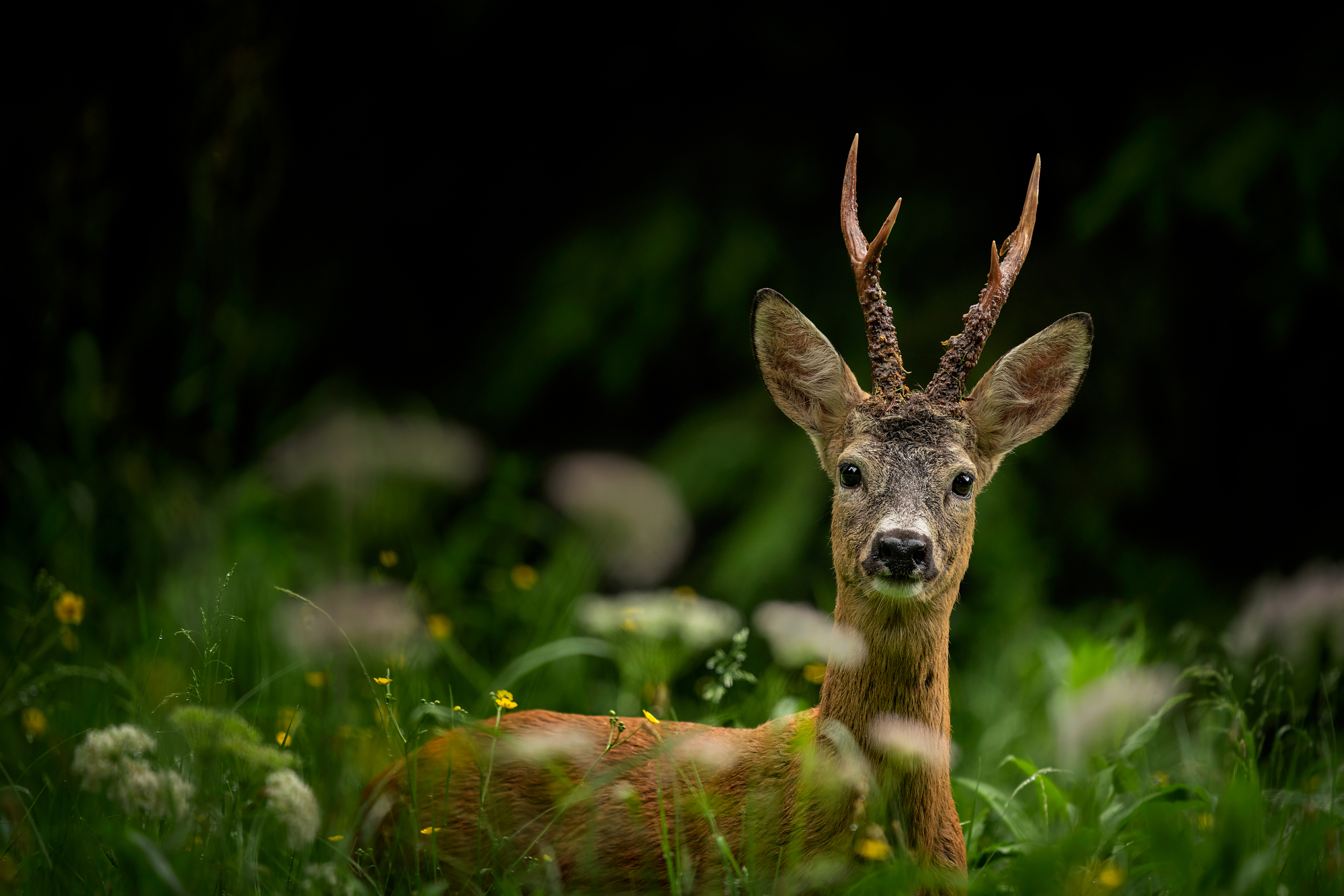 Prekvapený... (Miroslav Ondruš)