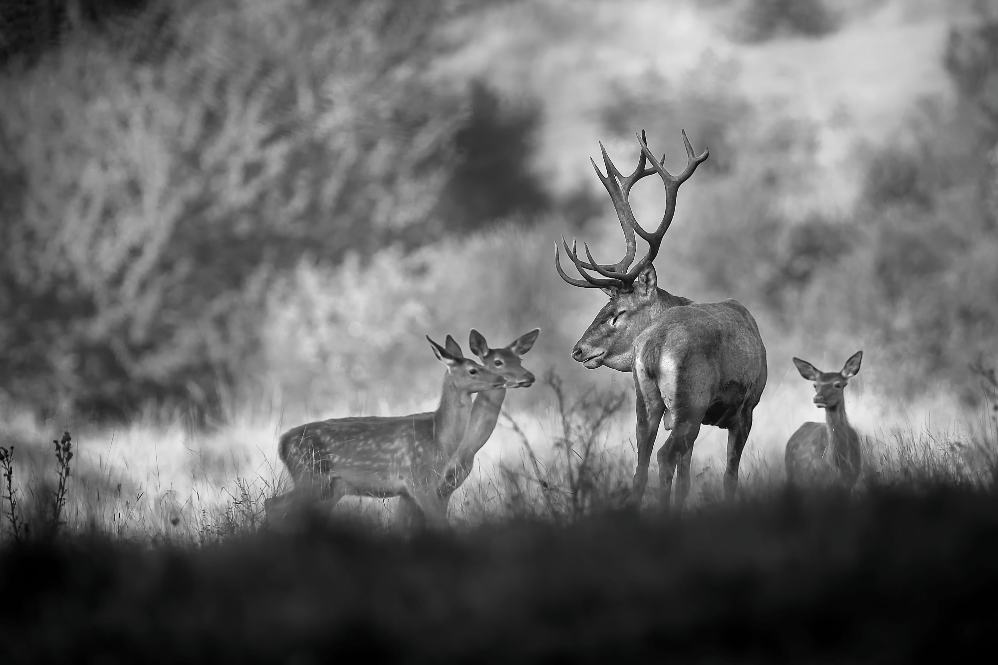Jesenná šichta (Patrik Rolín)