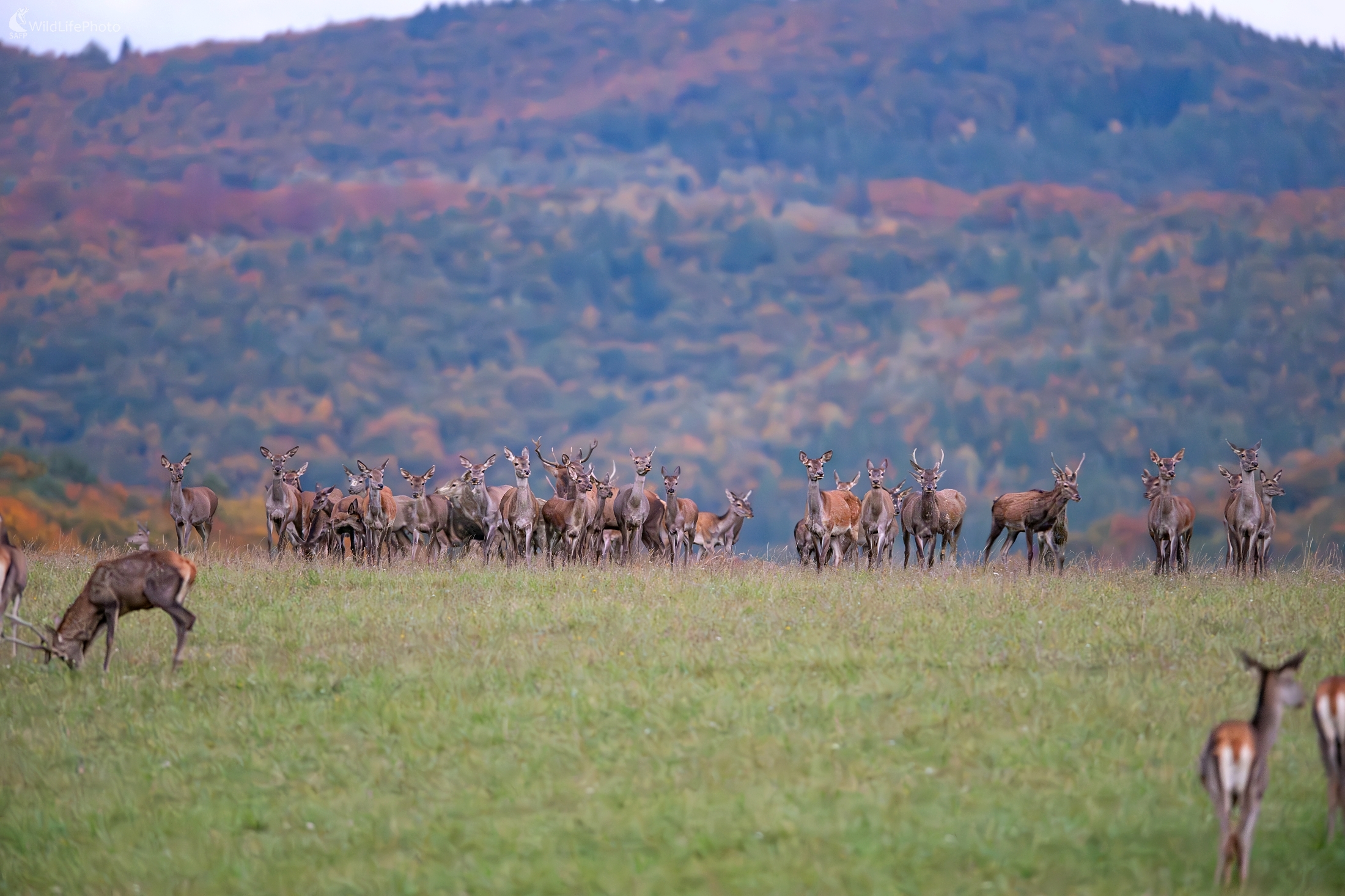 Jesenná nálada (František Hromada)