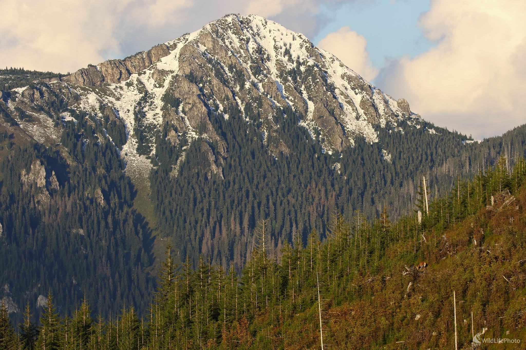 Prvý poprašok snehu na horách (Vladimír Michalec)