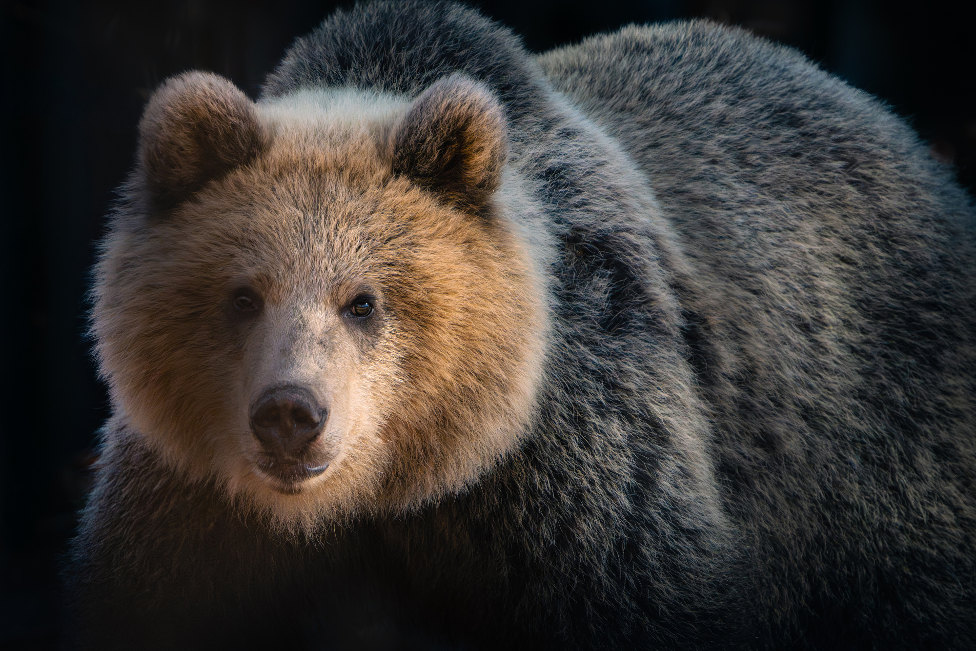 Na pár krokov... (Miroslav Ondruš)