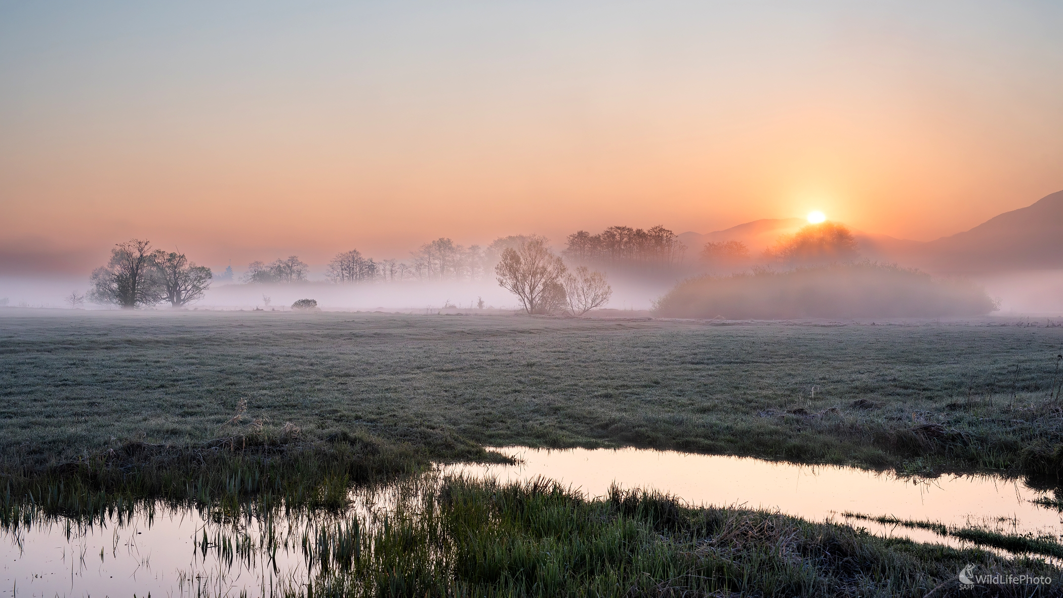Mokrade Turca (František Hromada)
